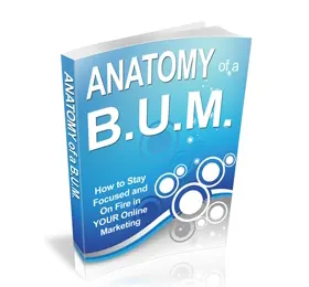 Anatomy of a BUM
